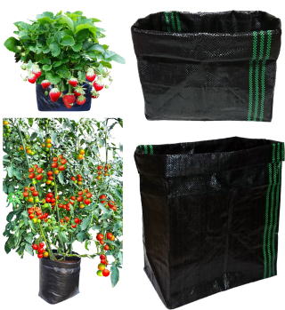 コロナ禍により自宅で自粛して　メッシュ栽培袋　で野菜作り